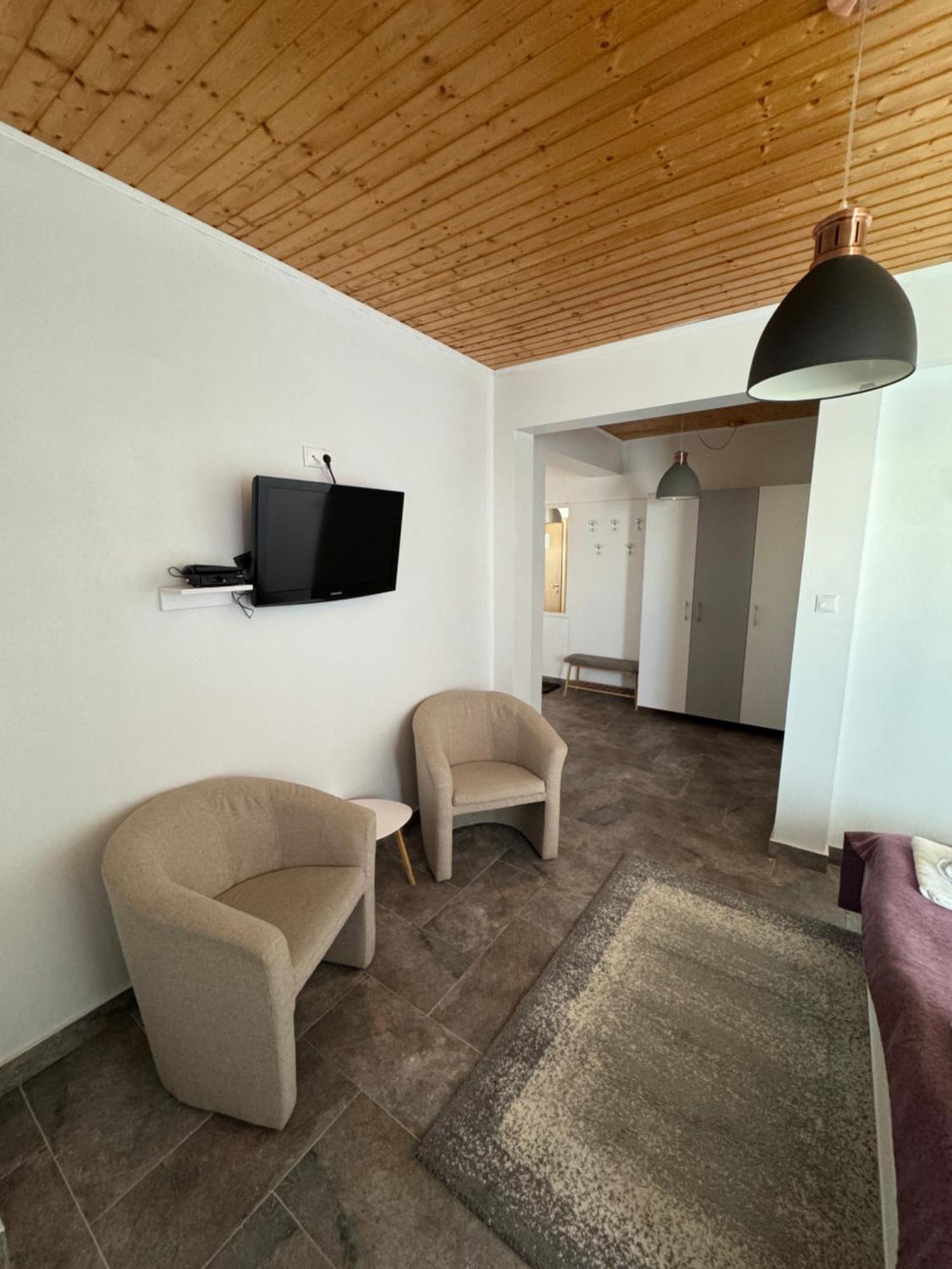 Red Family Apartments Paltinis Room photo